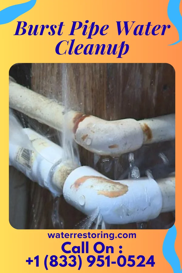 Burst Pipe Water Cleanup in North Beach Haven, NJ