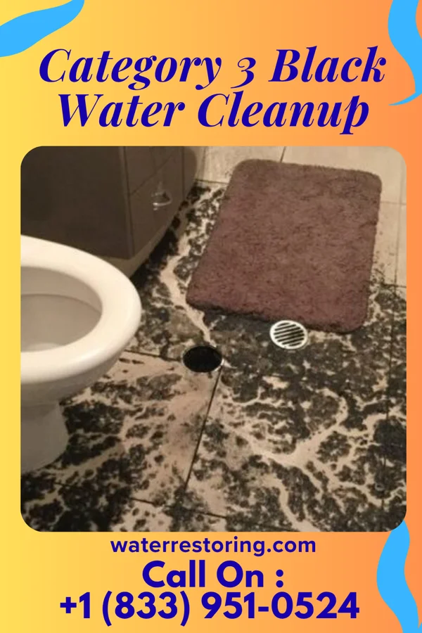 Category 3 Black Water Cleanup in North Beach Haven, NJ
