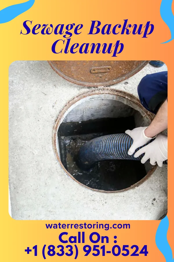 Sewage Backup Cleanup in North Beach Haven, NJ