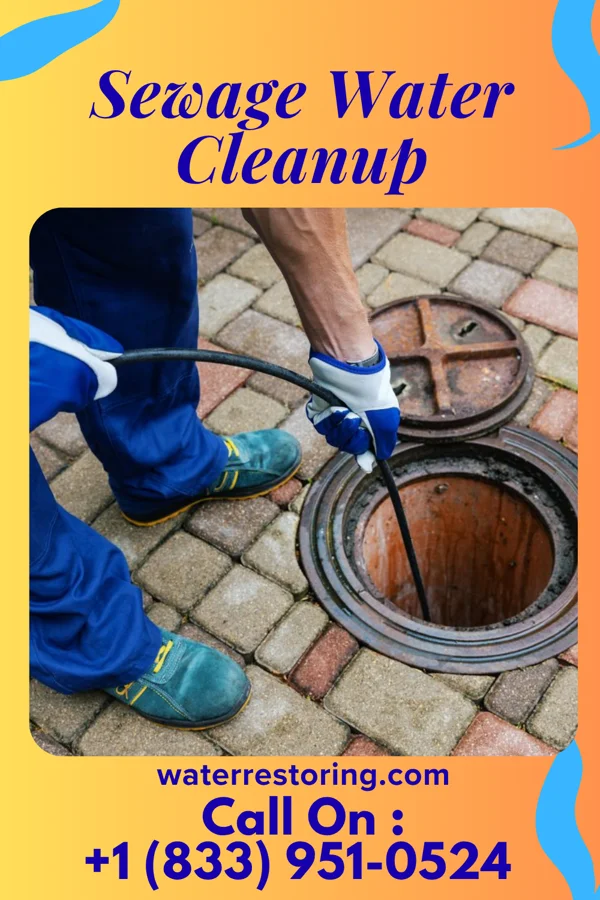 Sewage Water Cleanup in North Beach Haven, NJ